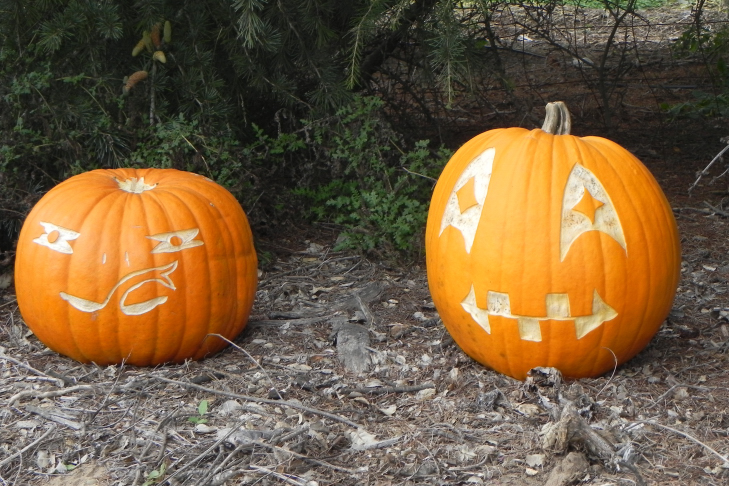 Pumpkin Carving Idea Simple and Friend